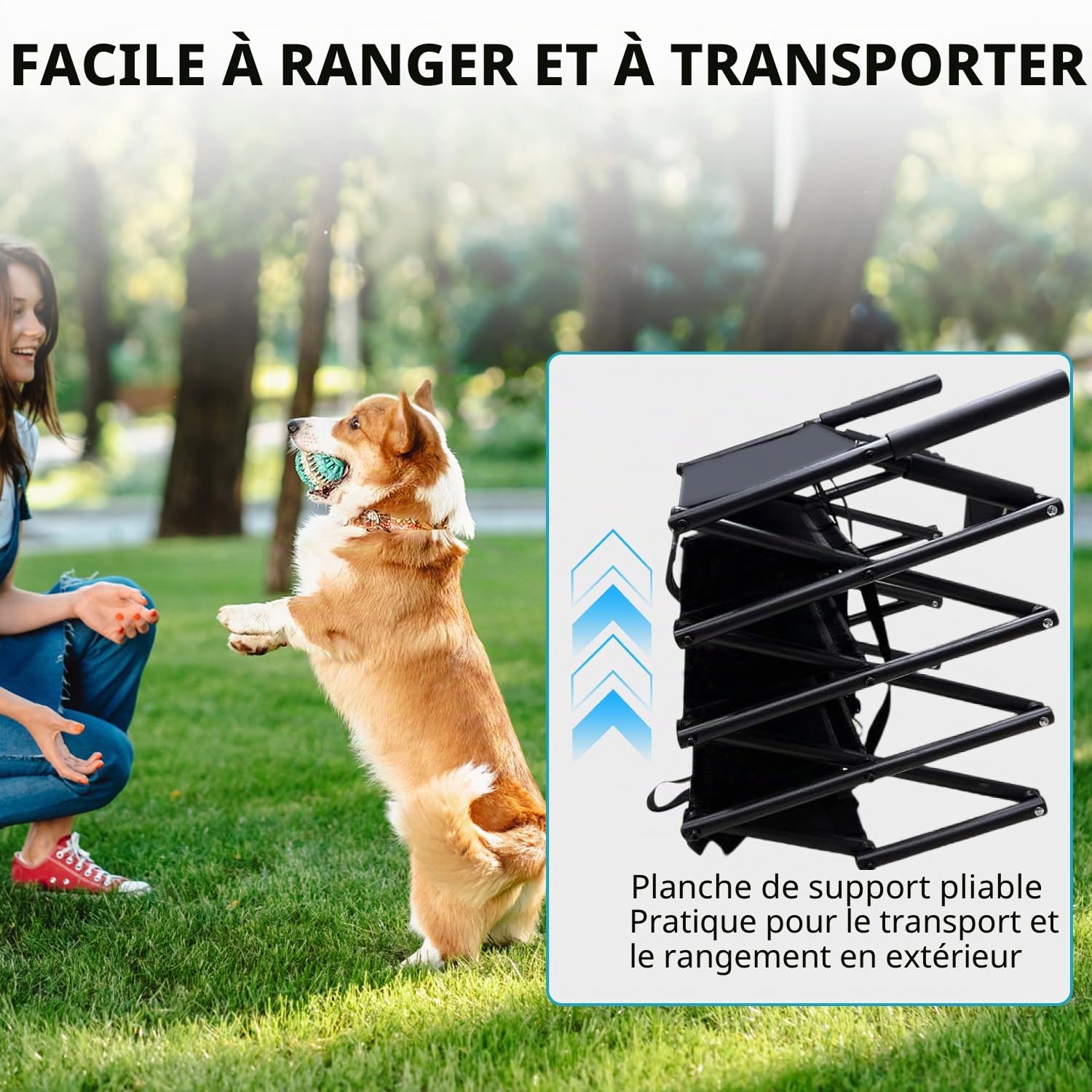Rampe Chien Voiture, Escalier pour Chien 4 Marches avec Boucle Antidérapante, Escalier pour Chiens Voiture Pliable - Harge Maximale 80 kg, Utilisable dans Tous Les Véhicules