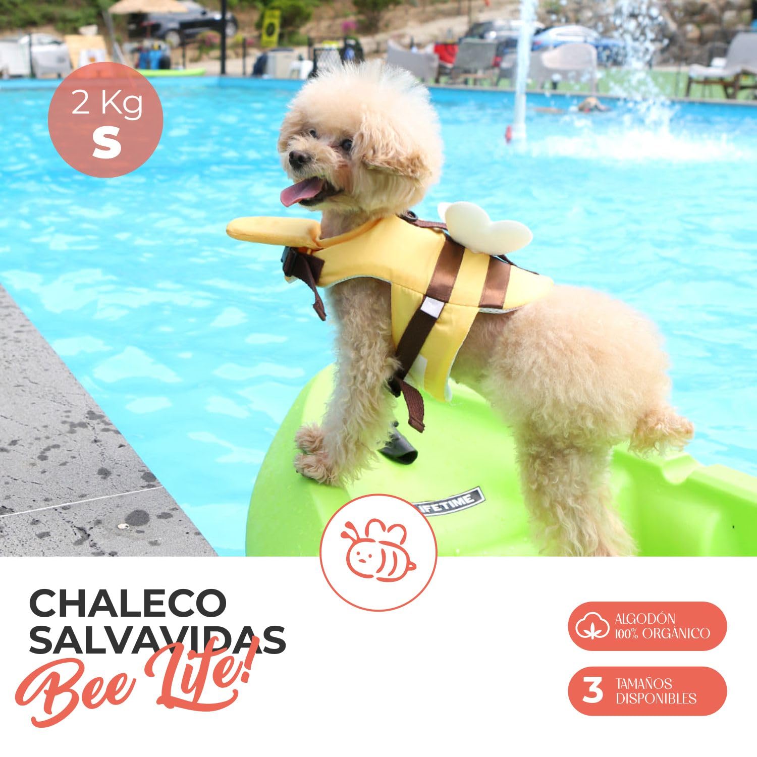 Its Dog & Kangachi - Chaleco Salvavidas de Abeja para Perros, Chaleco Flotador, Chaleco Seguridad Asa de Rescate, Ajuste Seguro, Alta Flotabilidad, Perros Pequeños y Medianos, Made in Korea, Talla S