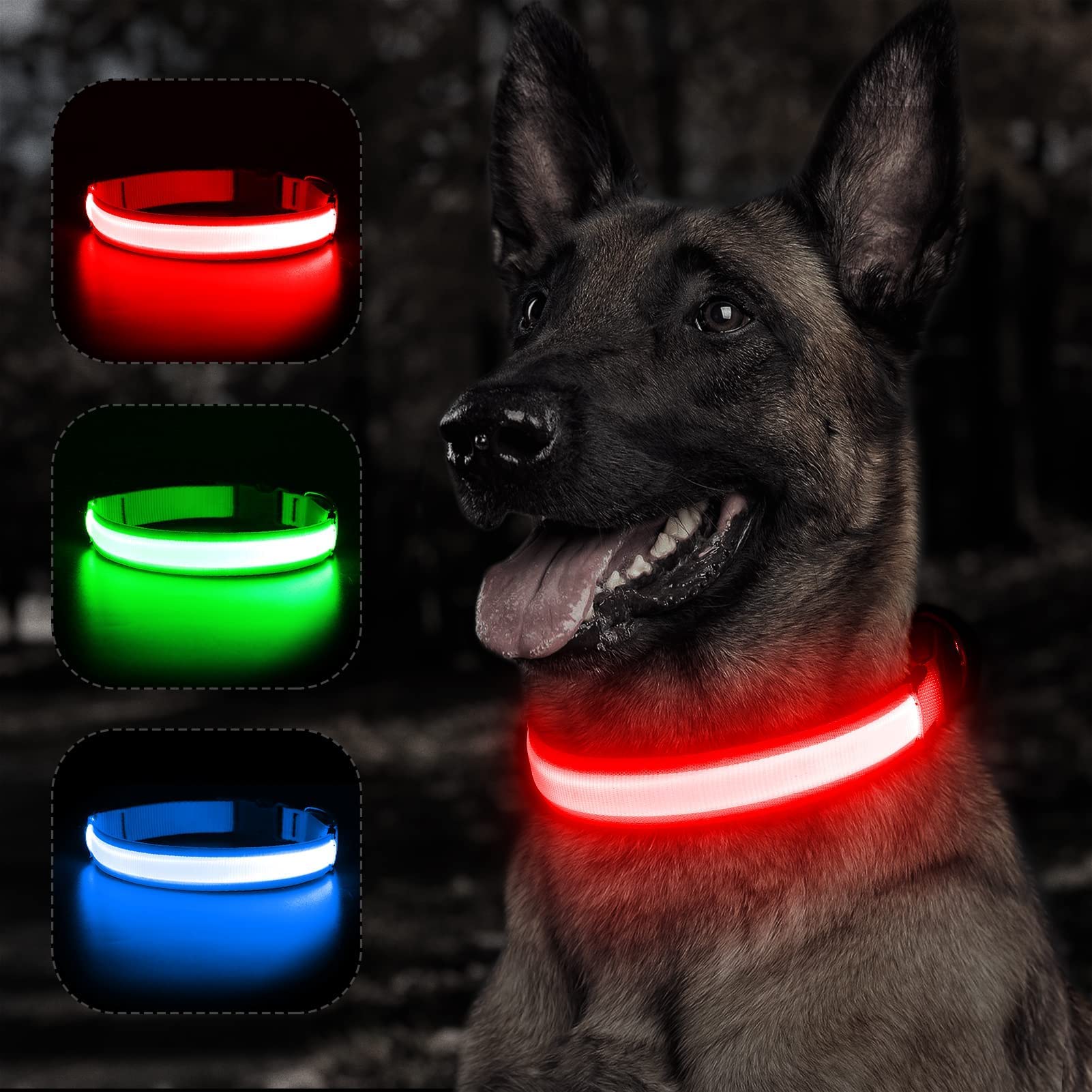 BSEEN Collare per cani che si illumina, collare per cani a LED ricaricabile, impermeabile, riflettente, con luci natalizie che si illuminano al buio, per passeggiate notturne (rosso rubino, M)
