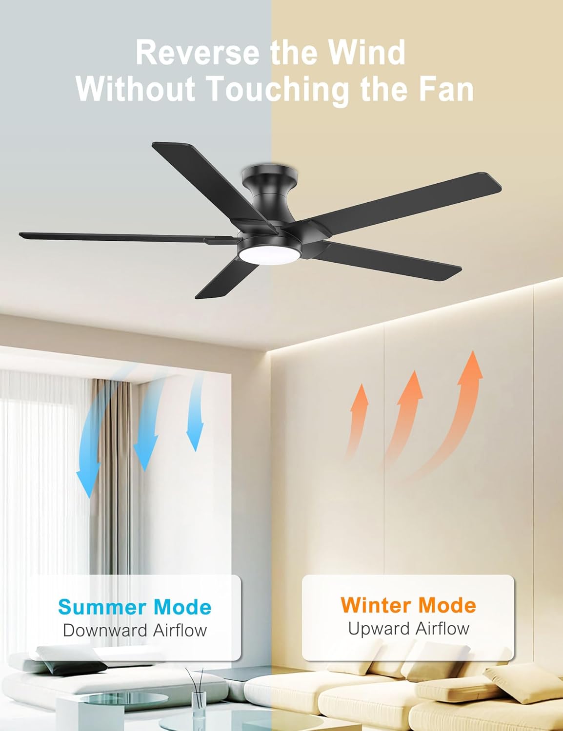 DAMINY 52 inch Black Ceiling Fans with Lights,5 Blades,6CCT, Low Profile,Remote Control,for Bedroom, Kitchen,Living Room,Indoor/Outdoor Use,Flush Mount