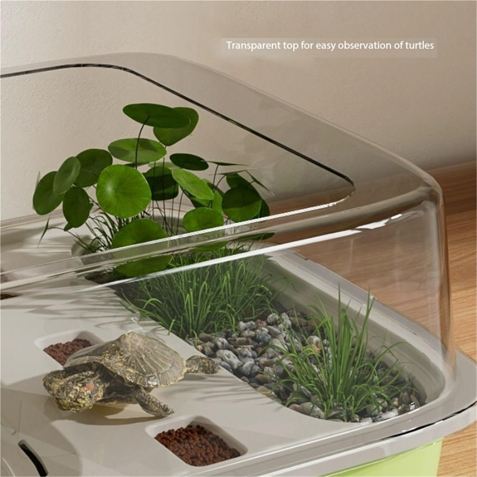 Siedlisko terrarium Zbiornik do karmienia żółwi niebieskich z miejscem sadzenia prysznica użytku domowego Terrarium akwariowe