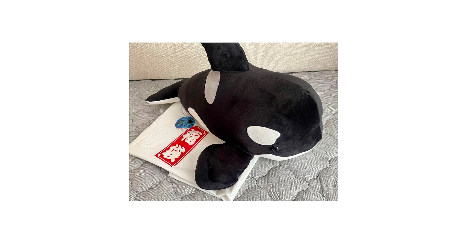 名古屋港水族館シャチぬいぐるみ Amazon.co.jp: 名古屋港水族館 シャチ 特大ぬいぐるみ : おもちゃ