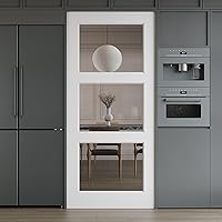 Vista 26 de 3-Lite - Losa de puerta de vidrio transparente templado de 18 x 80 pulgadas, coctelera interior pintable, adecuada para sala de estar, despensa