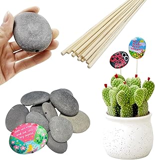 Lifetop Painting Rocks for Garden, 12PCS Drilled DIY Painting Rocks with...