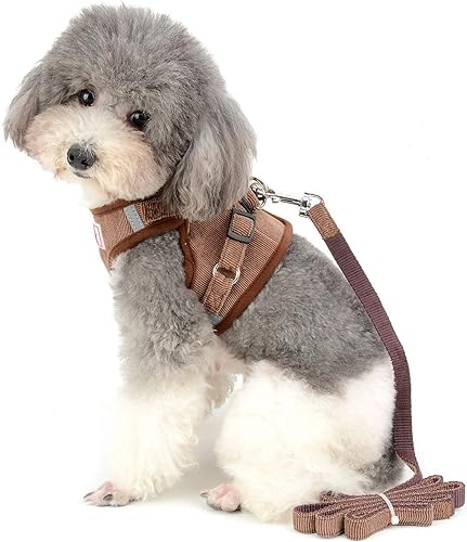 Miniatura 2 de Zunea Juego de arnés y correa para perro pequeño, ajustable, reflectante, para cachorros, arnés de malla de pana suave acolchado para mascotas,