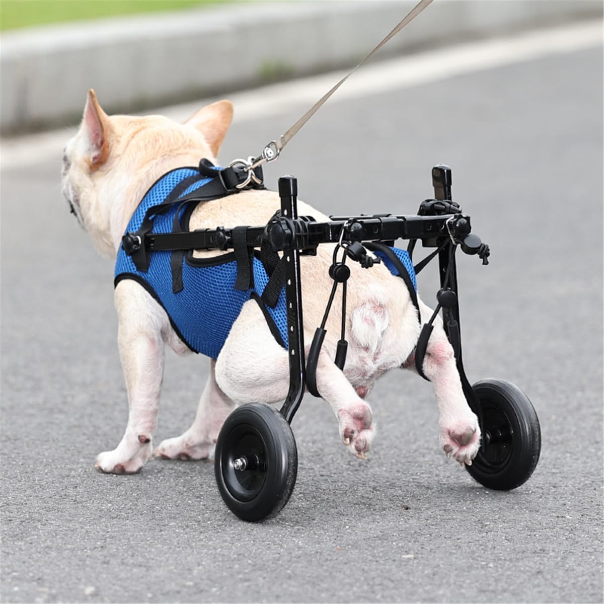 Fauteuil roulant réglable pour chien Membre postérieur Patte postérieure Handicapé Chat Chien Aide à la mobilité Chariot Jambes Réhabilitation Outils de marche légers pour animaux,XS