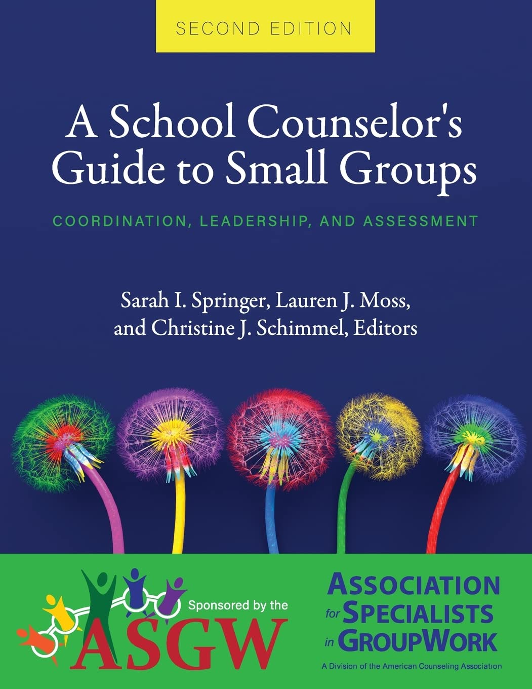 A School Counselor's Guide to Small Groups: Coordination, Leadership, and Assessment