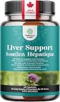 Milk Thistle Supplement for Liver Cleanse Detox & Repair - Herbal Pills with Dandelion Root, Choline, Beetroot & Artichoke Extract - 60 Capsules