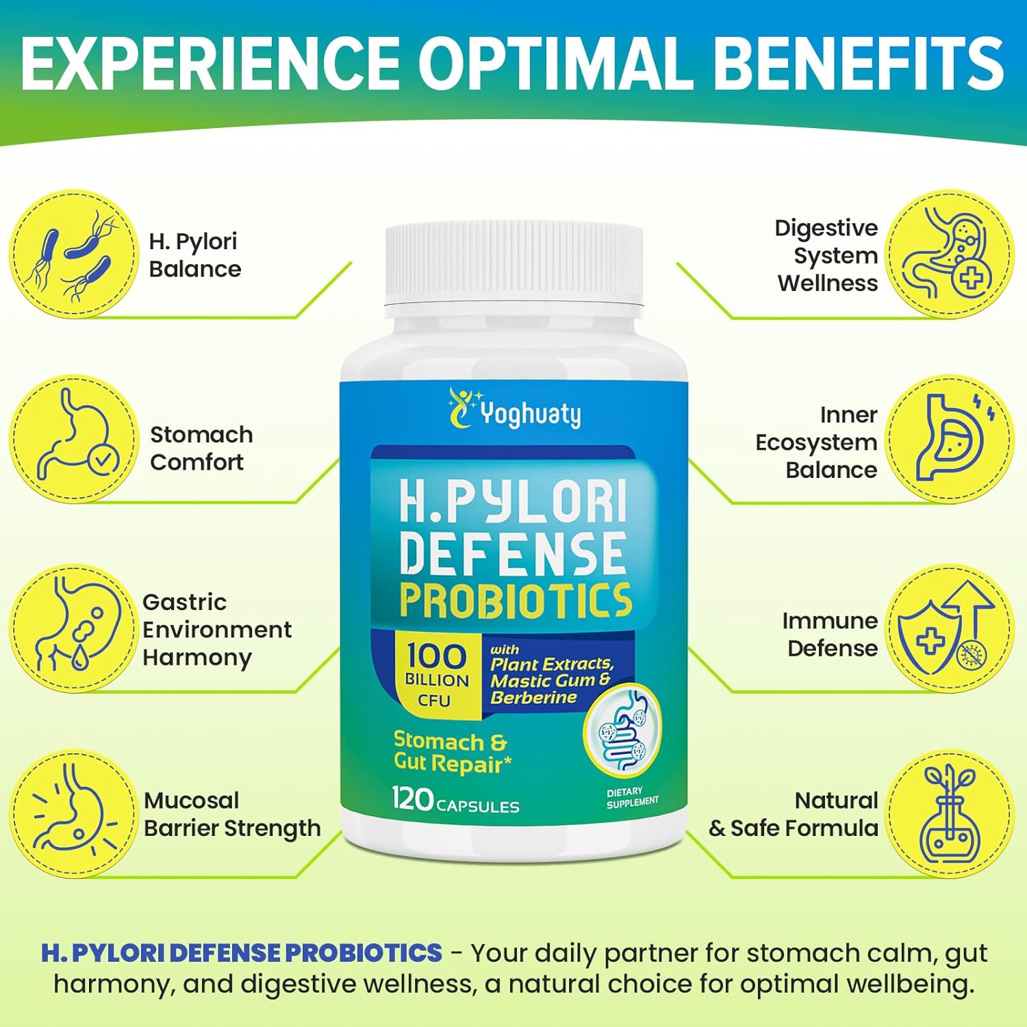 H. Pylori Defense Probiotics 100 Billion CFU - Lactobacillus Reuteri, Mastic Gum, Berberine, Zinc Carnosine, Green Tea, for Digestive & Gut Health, Stomach Comfort, Vegan, 120 Capsules - Image 4