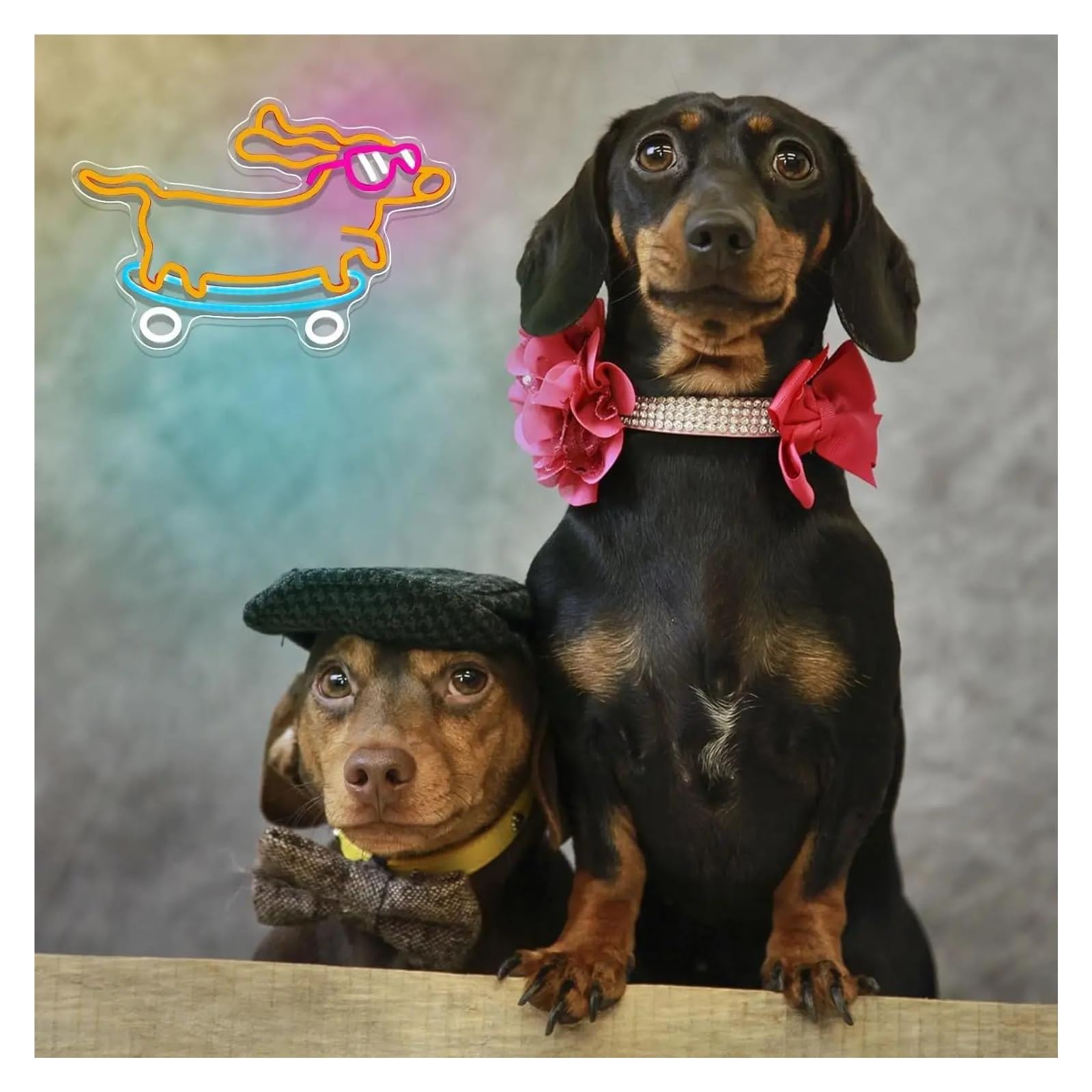 Scritta luminosa Insegna Al Neon Per Bassotti, Occhiali Per Cani Luce Dimmerabile Per Camera Da Letto, Bar, Negozio Di Animali, Amante Dei Cani Decorazione 41cmx27cm