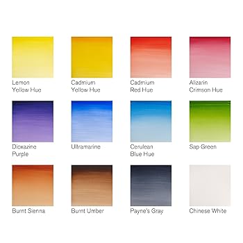 定価7689円　新品　ウィンザー&amp;ニュートン12色セット Amazon | ウィンザー&ニュートン 水彩絵具 プロフェッショナル