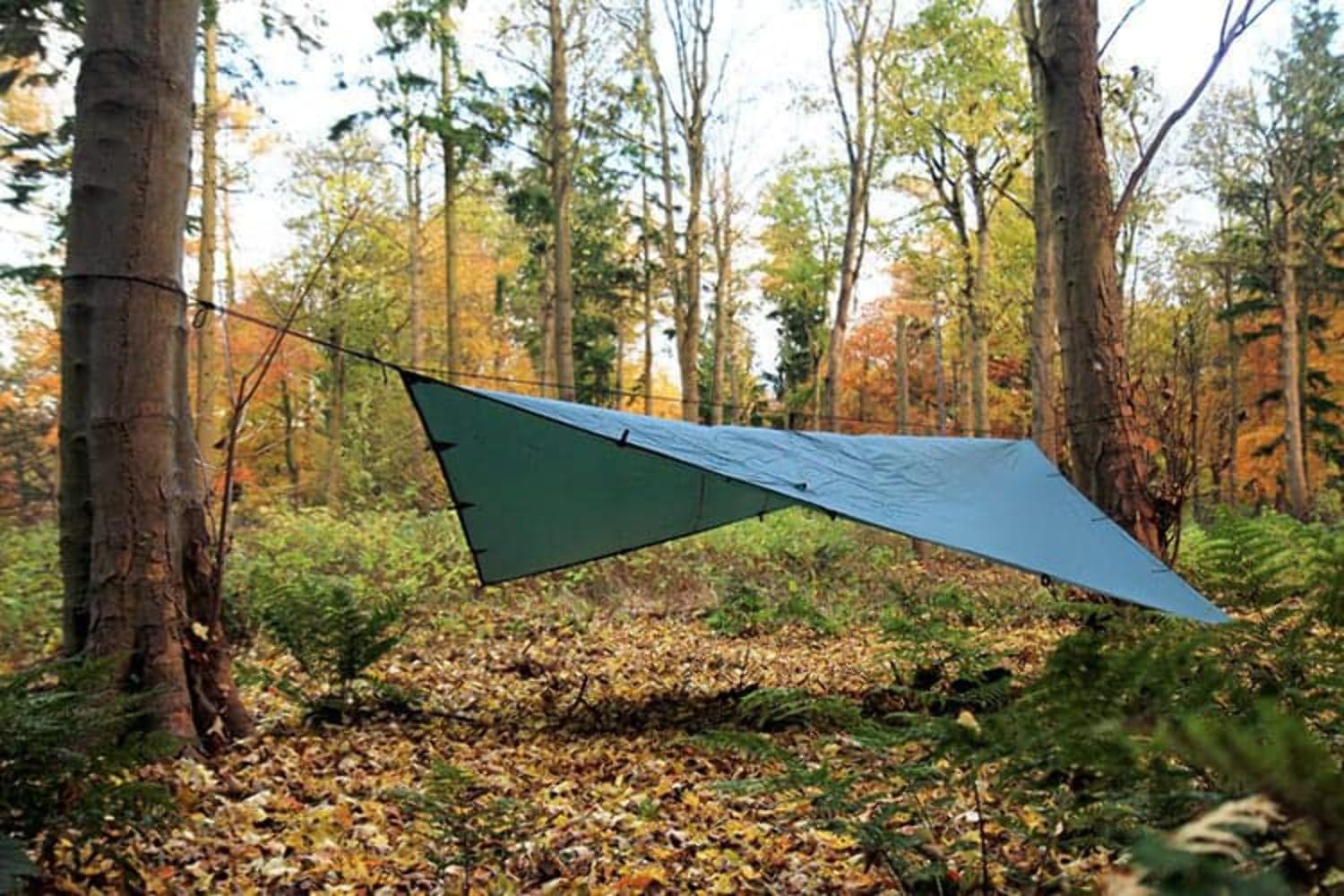 Amazon | DD Hammocks DD タープ 4×4 フォレストグリーン 日本正規品