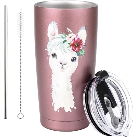 Amazon.com: 17 oz. Insulated Stainless-Steel Tumbler by Studio Oh