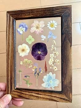 Amazon.co.jp: 花 SAIKA 押し花アート 古木風 透明 インテリア