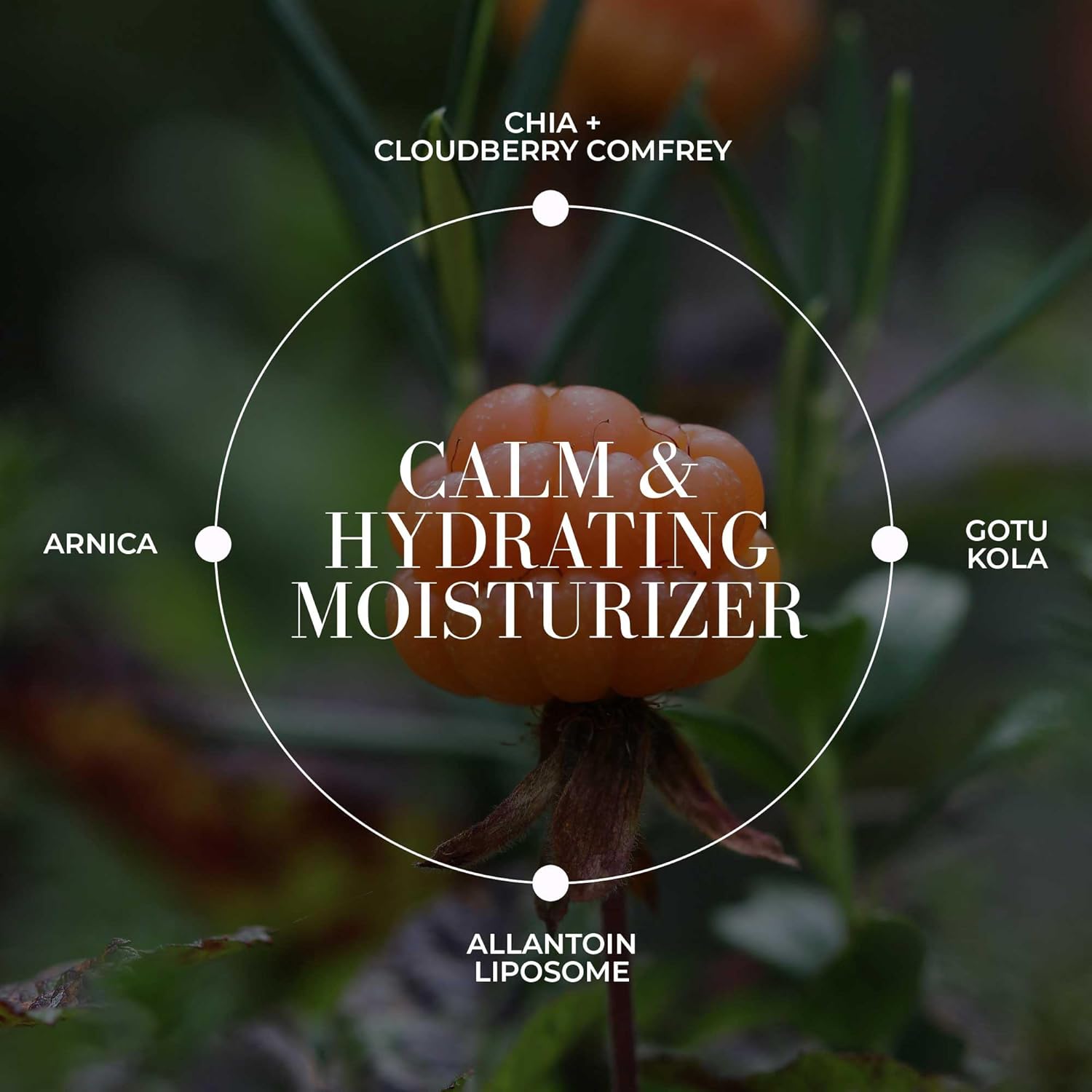 Fitglow Beauty Cloud Comfort Cream | Face Cream for Sensitive Skin | Redness-Reducing & Calming Facial Moisturizer | Plant-Based Hydrating Cream | Soothes Visible Redness | 50ml - Image 5