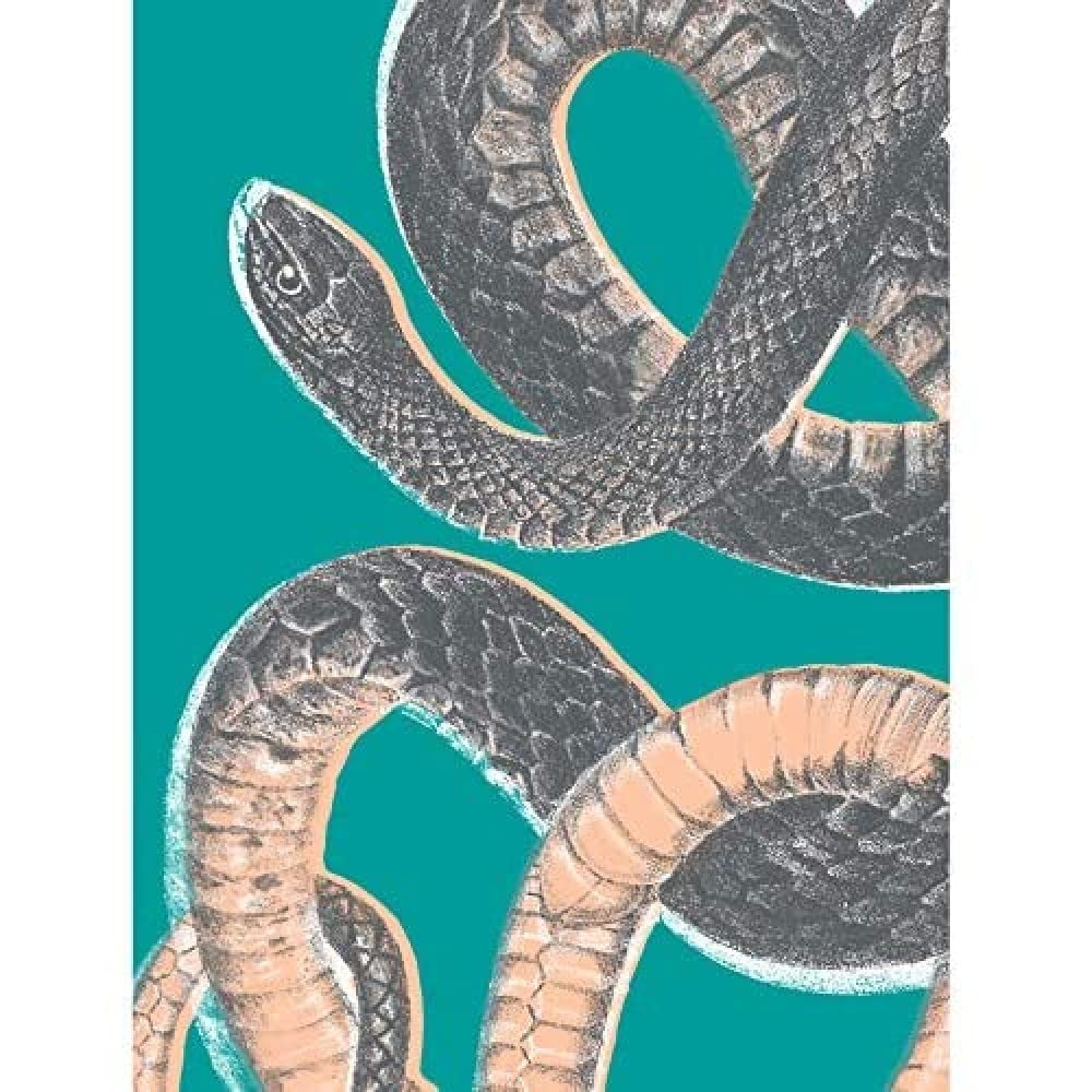 Wee Blue Coo Snake Illustration Modern Biodiversity Unframed Art Print Poster Wall Decor 12X16 Inch