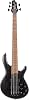 Cort B5 Element Open Pore Trans Black 5-String Bass Guitar