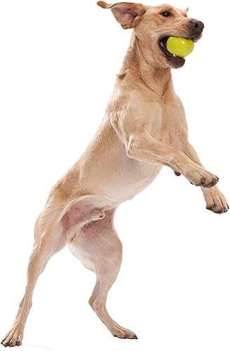 Miniatura 4 de West Paw, Juguete en forma de balón para perro, masticable y resistente, diseño Jive Zogoflex, Verde agua