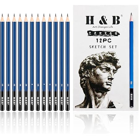 Amazon Com H B 12 Pcs Charcoal Pencils For Drawing Graphite Sketching Pencils Kit 4h 3h 2h H F Hb B 2b 3b 4b 5b 6b Artist Pencils For Beginners Amazon Com H B 12 Pcs Charcoal Pencils For Drawing Graphite Sketching Pencils Kit 4h 3h 2h H F Hb B 2b 3b 4b 5b 6b Artist Pencils For Beginners