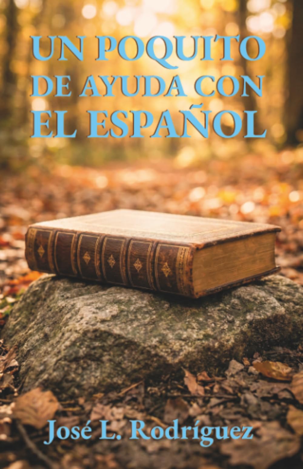 Un poquito de ayuda con el español: Introducción a algunas de las reglas gramaticales