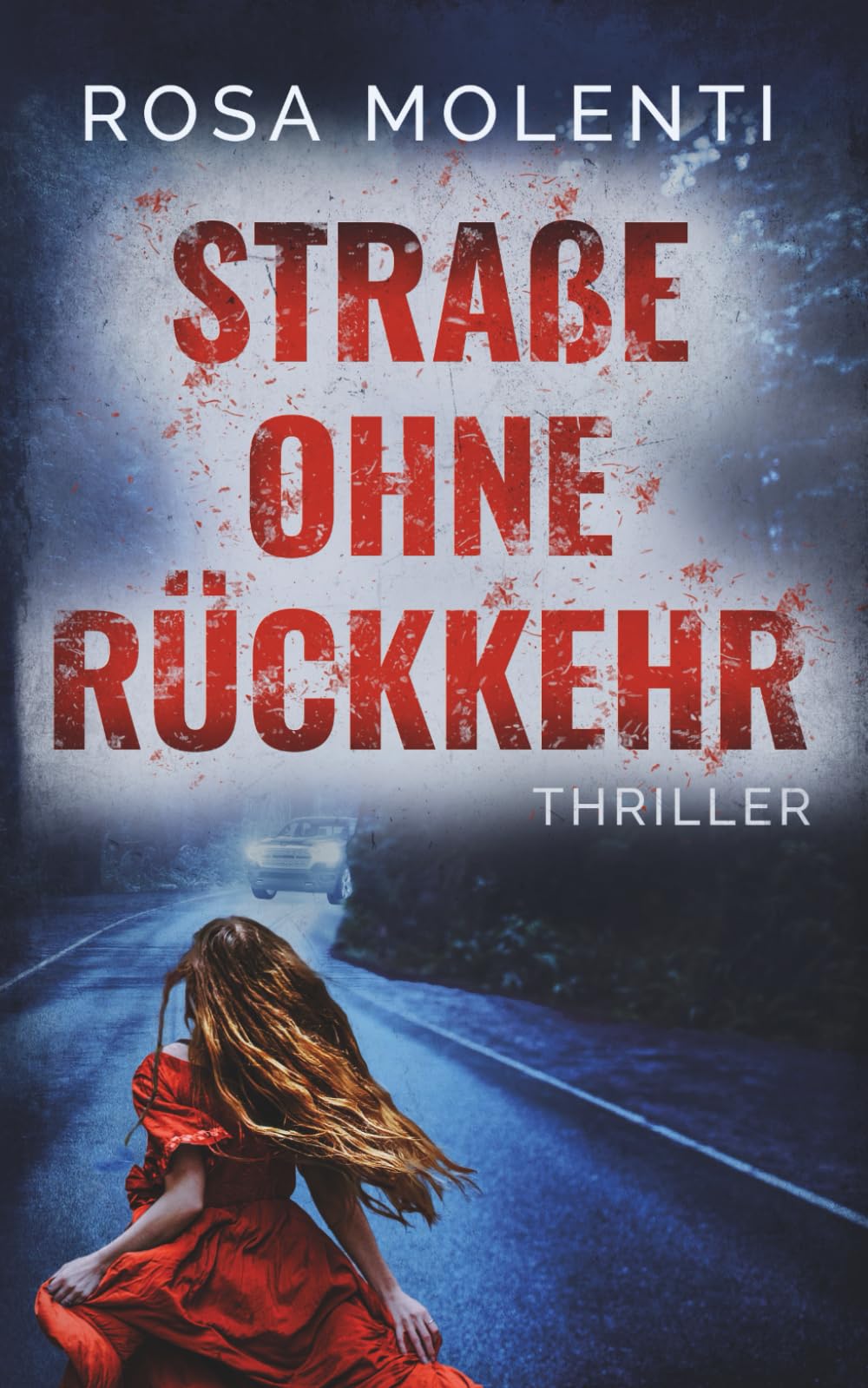Straße ohne Rückkehr: Thriller