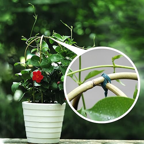 Miniatura 7 de Enrejado para plantas de interior, enrejado de bambú de 16 pulgadas en forma de escalera para plantas en maceta con lazos giratorios, paquete de 3