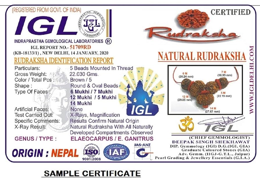 Amazon.co.jp: ルドラークシャ 知恵のコンビネーション 4,5,11