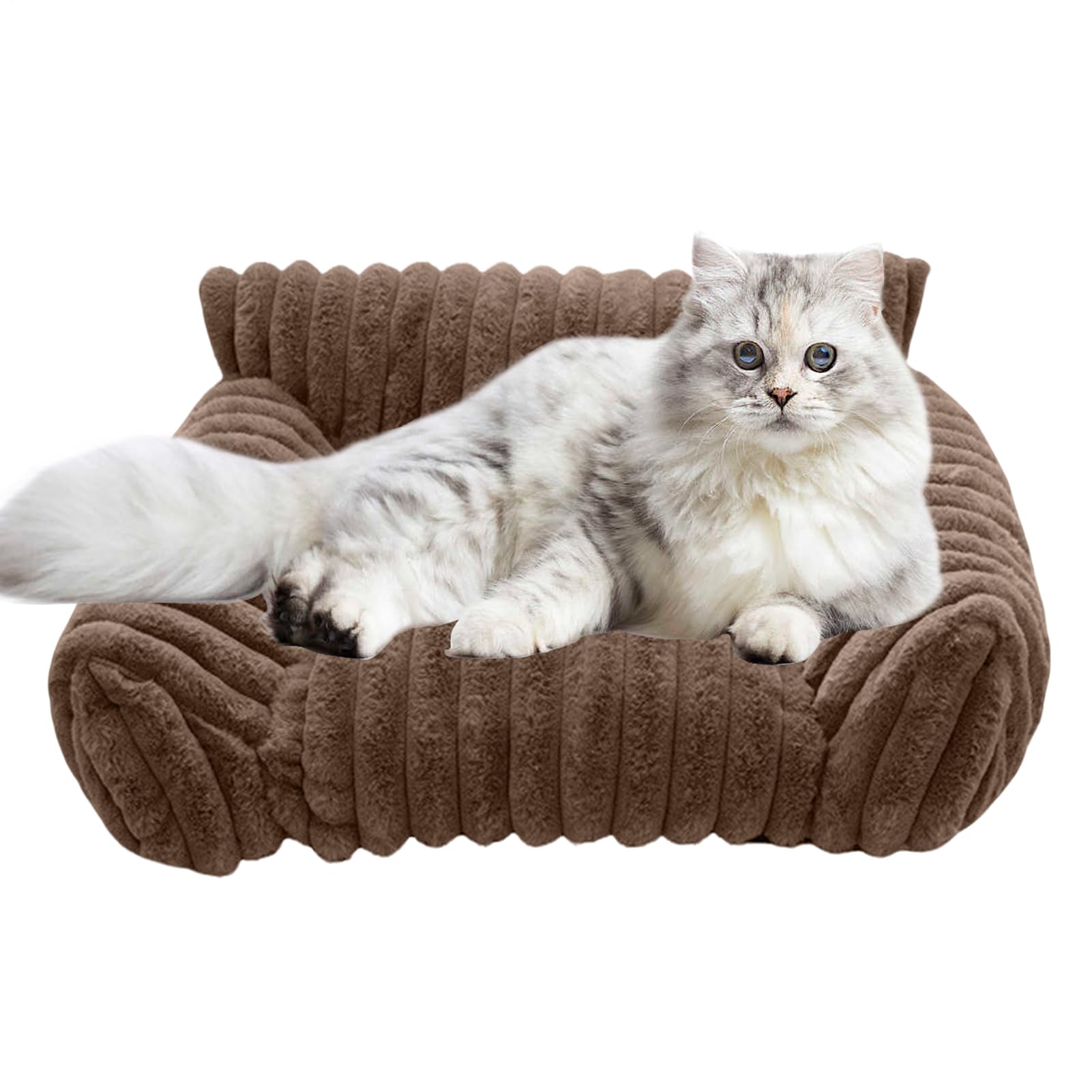 Canapé pour chats confortable et durable pour un salon élégant