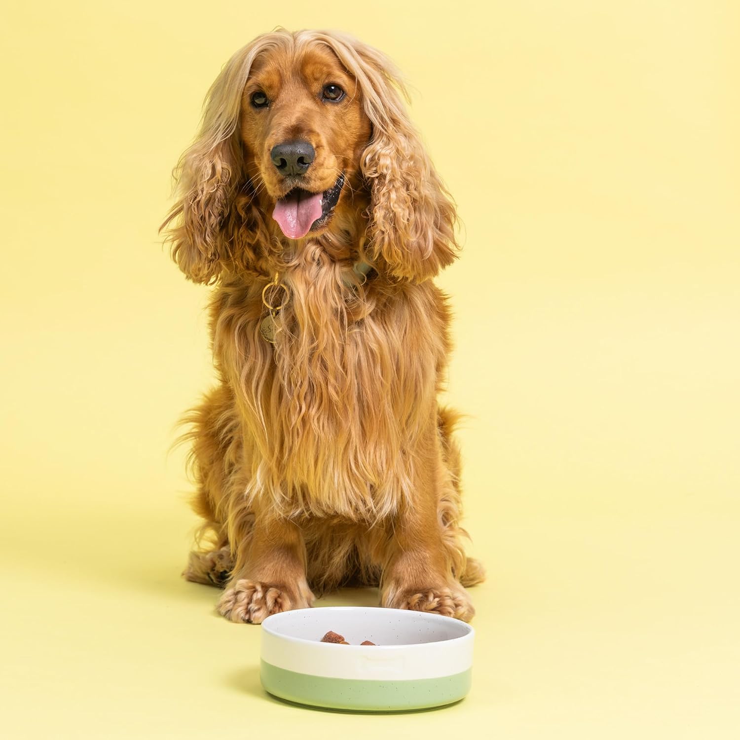 Mason Cash: Speckle Dip Dog Bowl - 7", 28.7oz - Green, Cream, Bone - Ceramic Food & Water Dish, Microwave-Dishwasher Safe, Pet Meal Feeding-Hydration image 3