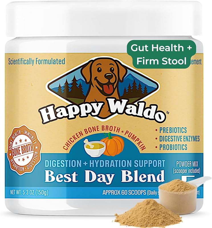 Suplemento digestivo em pó para cães Happy Waldo Best Day Blend com caldo de ossos de frango, abóbora, probióticos e enzimas, 150 g