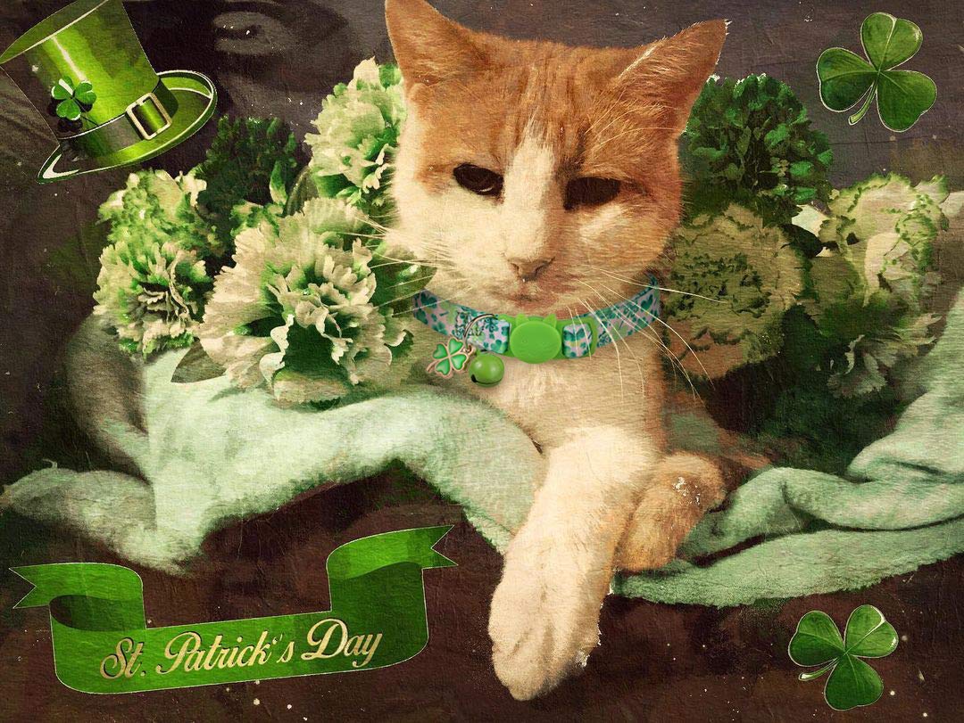 BoomBone Paquete de 2 collares de gato para el día de San Patricio, collares ajustables de seguridad con campana para gatito