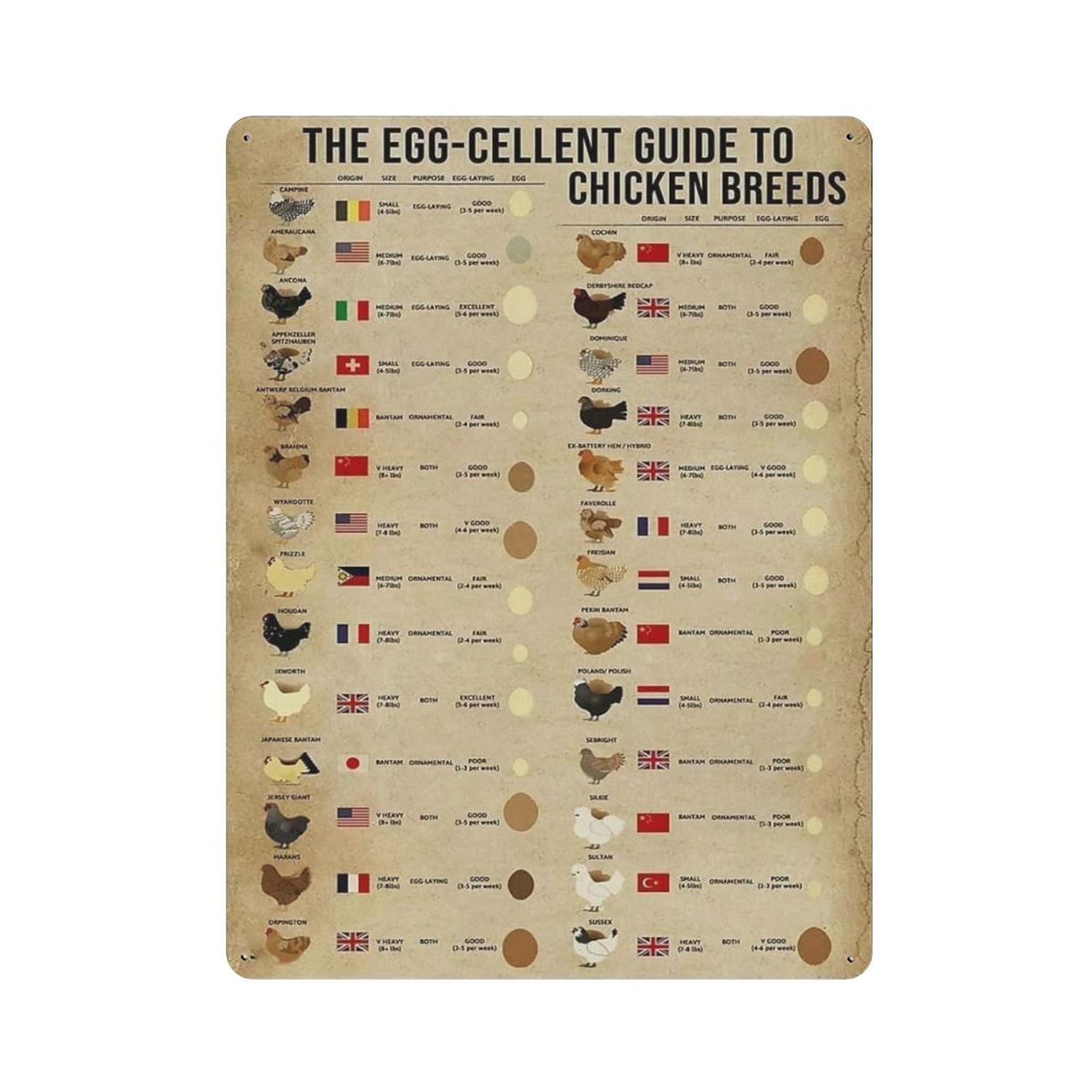 AOOEDM The Egg-Cellent Guide To Chicken Breeds Vintage Metal Tin Sign for Home Coffee Shop Office Wall Art Metal Poster Garage Decor Man Cave Sign Inspirational Quote Wall Decor