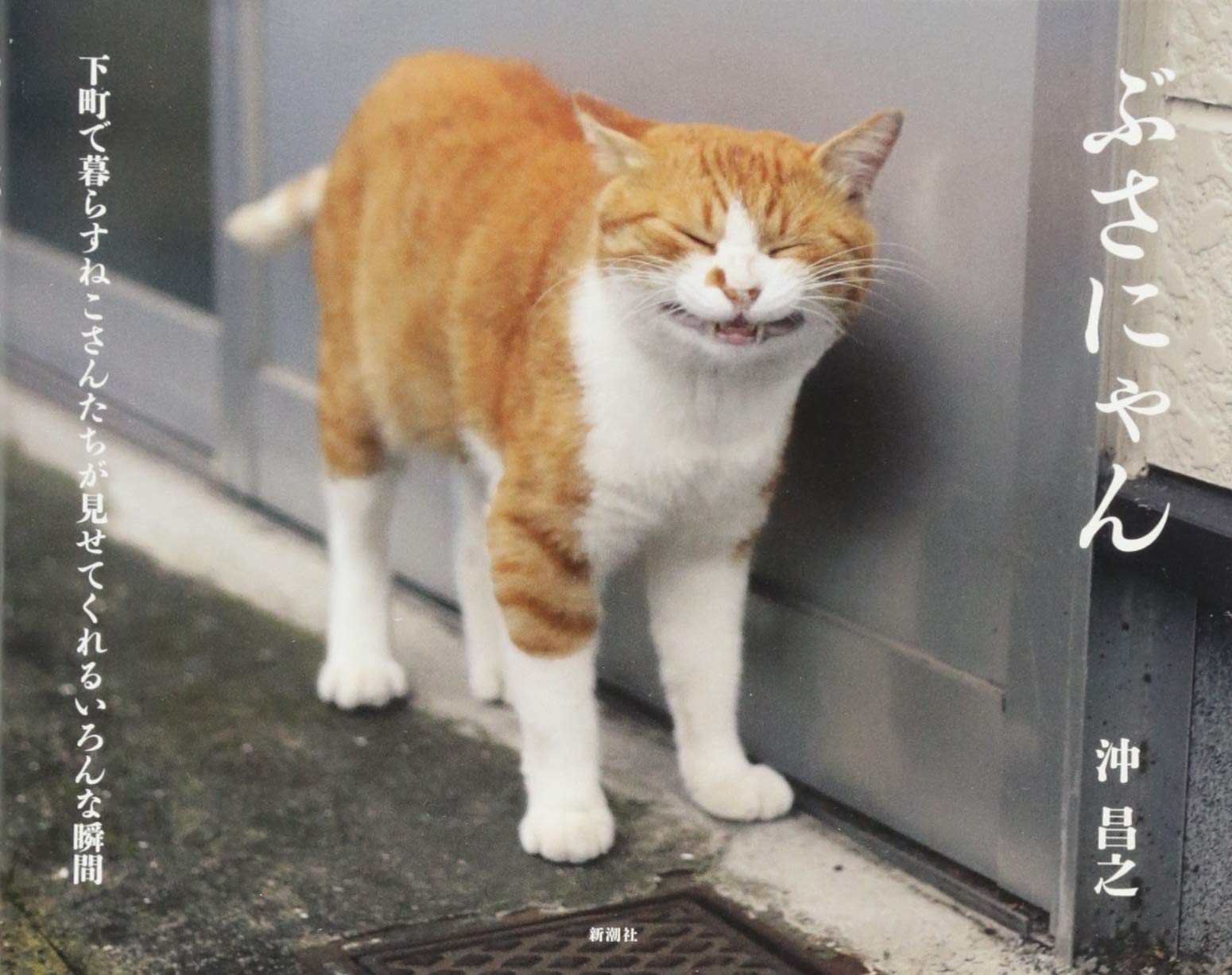 ねこ山 プロフ必読♡ ぶさにゃん | 沖 昌之 |本 | 通販 | Amazon