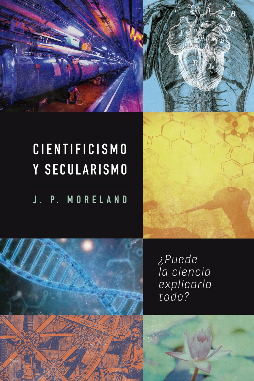 Cientificismo y secularismo: ¿Puede la ciencia explicarlo todo?