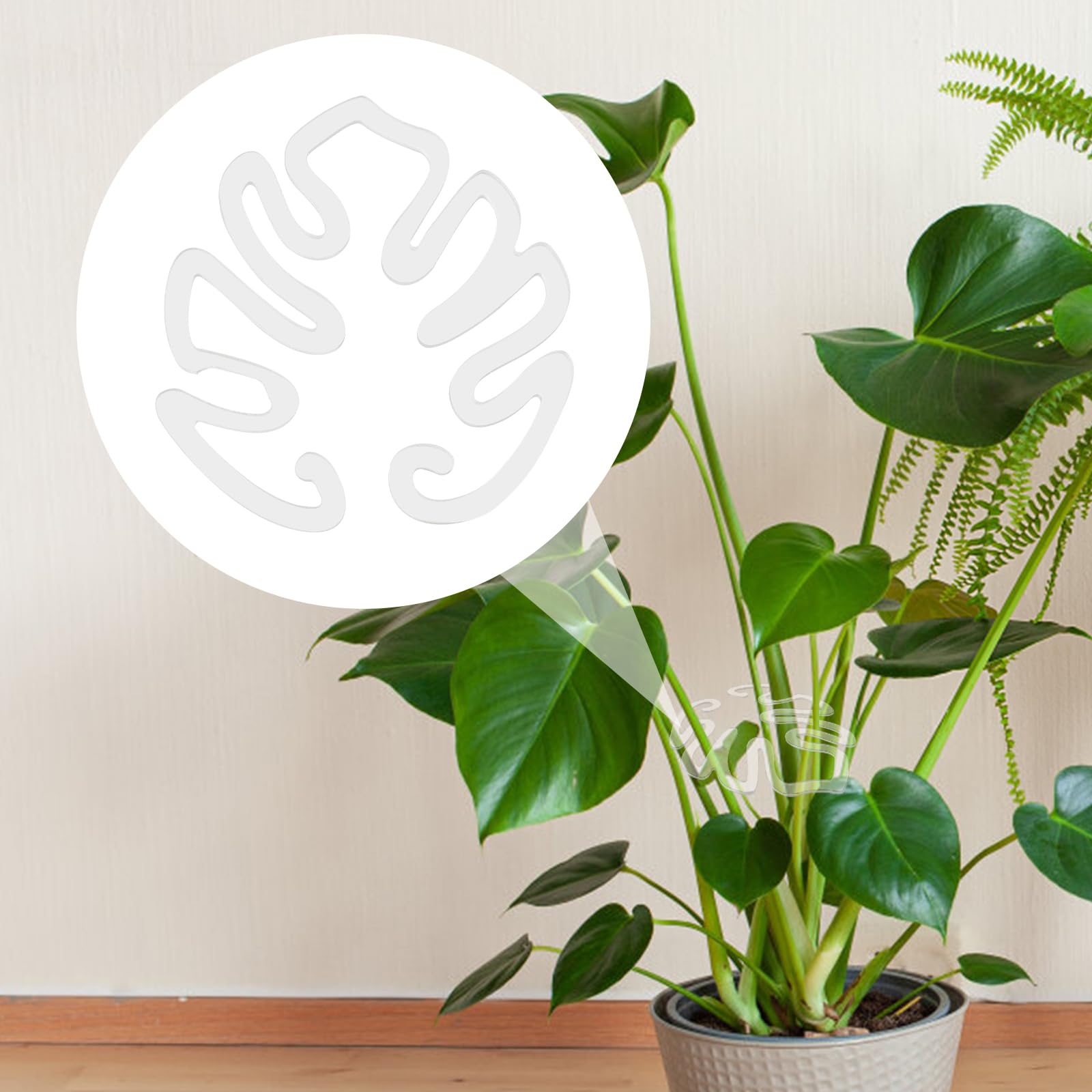 Amazon.com : PEUTIER Monstera Shaped Plant Stand, Acrylic Flower Shape Plant  Support Stakes Plant Growth Accessories for Indoor Outdoor Plants (A Style)  : Patio, Lawn & Garden