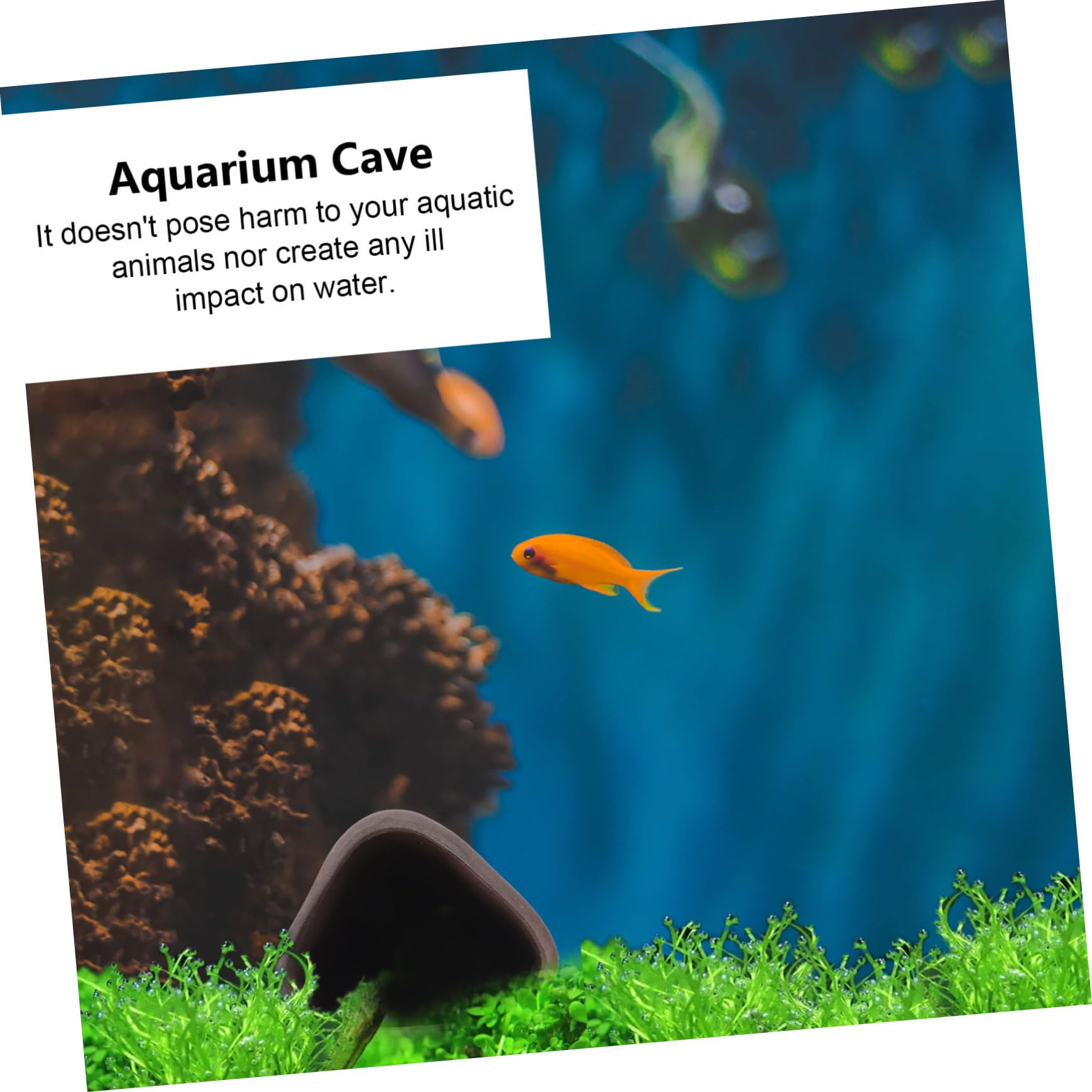 BESPORTBLE 3stücke Aquarium Versteck Höhle Für Garnelen Und Fische Natürliche Dekoration Für Aquarien Als Fischlaichplatz Für Süßwasserumgebungen Leicht Und