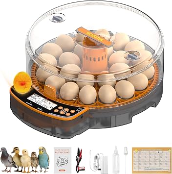 AsFrost Automatic Incubators for Hatching Eggs, 24 Egg Incubator,Upgrade Digital Incubator with Dual Modes,Temp & Humidity Control,Auto Turner, Egg Candler, Incubator for Hatching Quail & Poultry Eggs