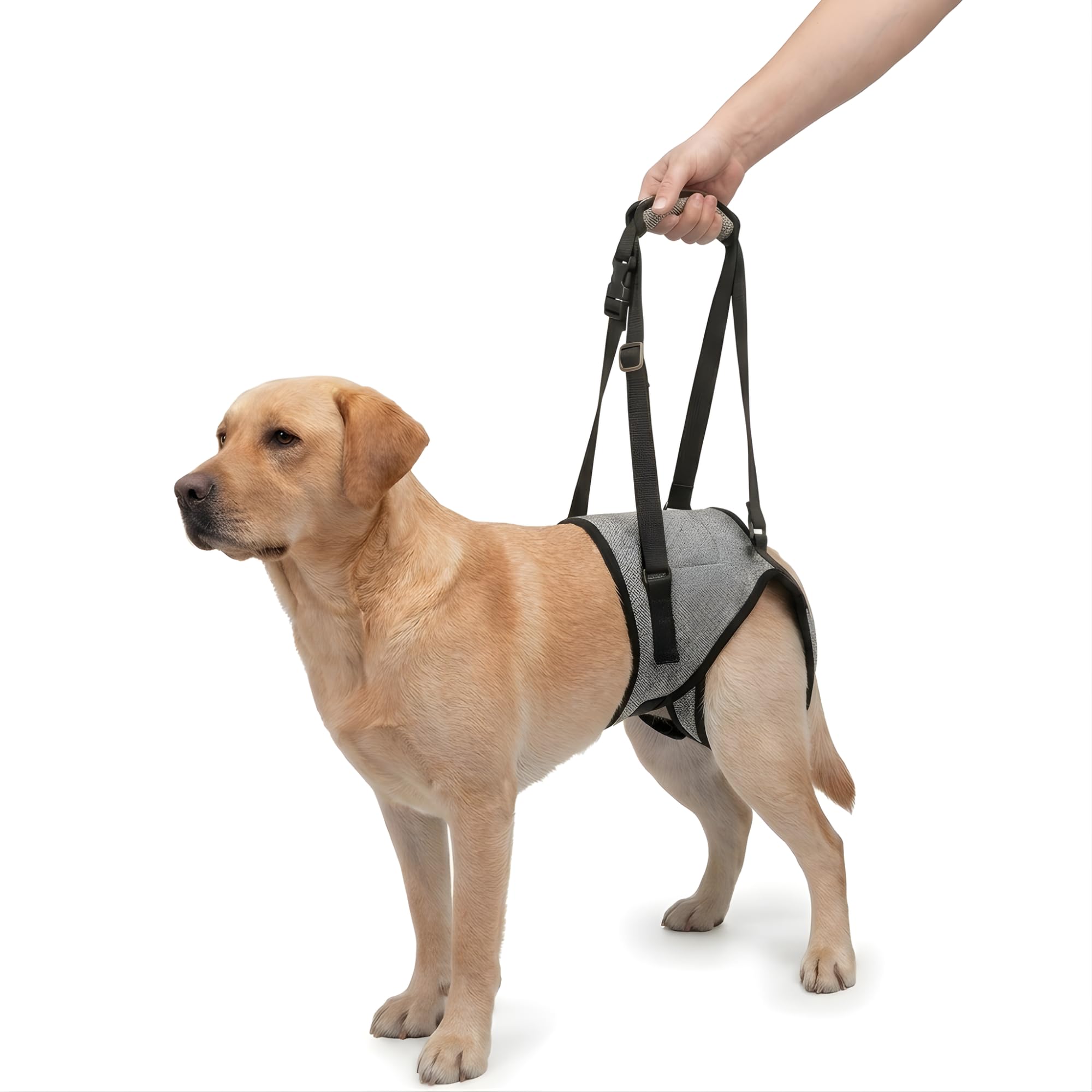 Arnés de Soporte para Perros con Movilidad Reducida - Arnés de Levantamiento para Patas Traseras, Ayuda a Caminar Tras Operación o Lesión, Correa de Rehabilitación Reflectante, Talla L (18-26kg) Gris