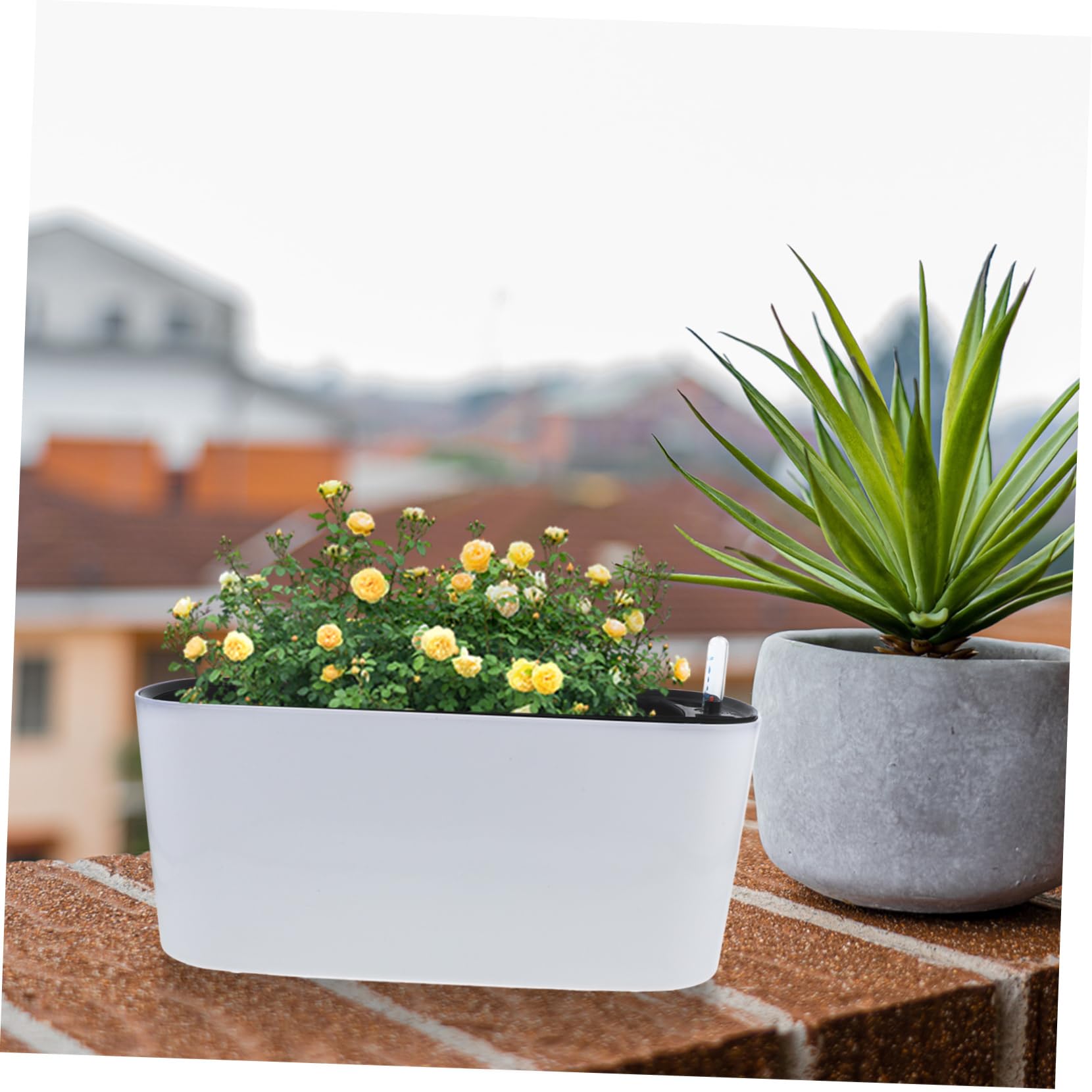 Toddmomy Pot de Fleur Auto Irrigant Rectangulaire avec Indicateur de Eau Pot pour Balcon et Intérieur Auto Arrosage Pratique pour Plantes et Fleurs Moyenne Blanc
