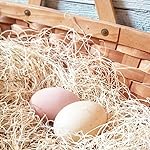 Review Image by Lisa Steele | Author + founder of Fresh Eggs Daily Lisa Steele | Author + founder of Fresh Eggs Daily