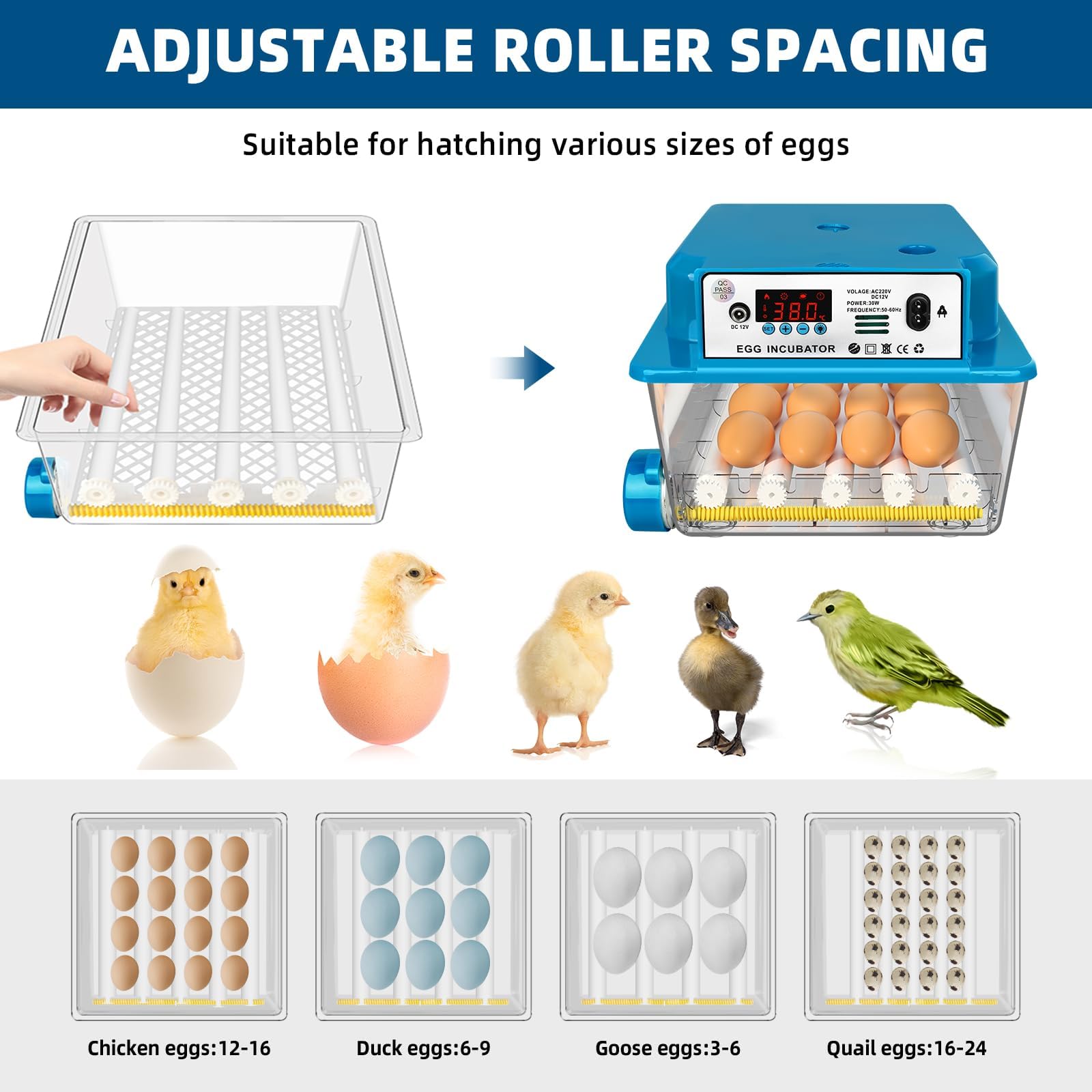Incubatore automatico per uova con controllo della temperatura per 16 uova, incubatore con rotazione automatica e irrigazione, per uova di pollo, oca, anatra e quaglia