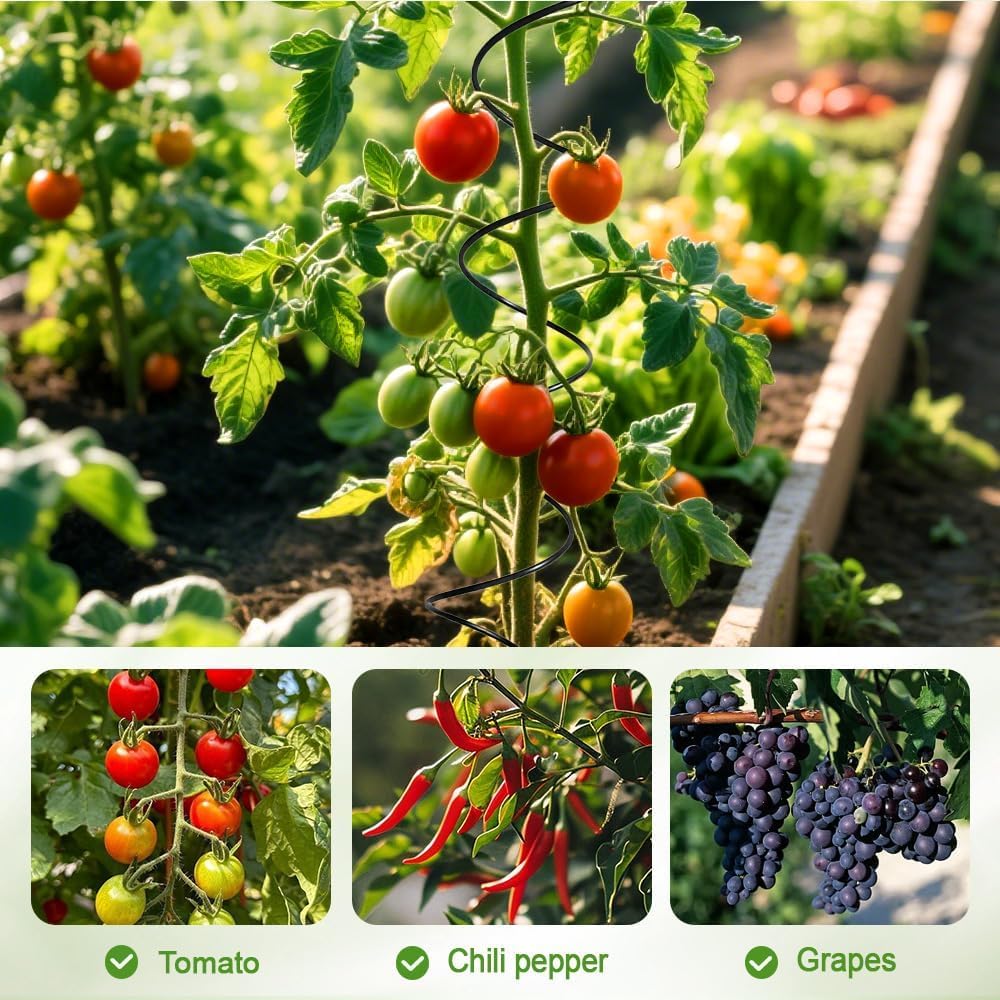 Palo Twist per pomodoro, torsione di pomodoro, pali per pomodori intrecciati, paletti a spirale per pomodori, torre rampicanti per piante (6 pezzi)