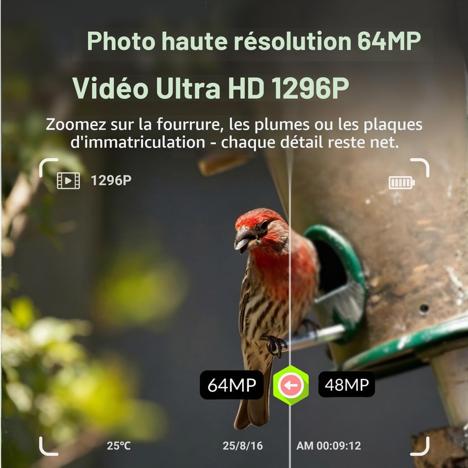 BlazeVideo Caméra Proie Caméra Sauvage 24MP 1296P, Caméra Sauvage Numérique avec Détecteur de Mouvement et Vision Nocturne, IP66 Étanche Écran 2,4"