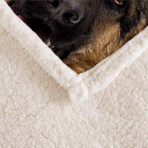 Miniatura 4 de AILONEN Manta de perro para niños y adultos, manta con patrón de perro pastor alemán, regalo para los amantes de los perros pastor alemán, manta