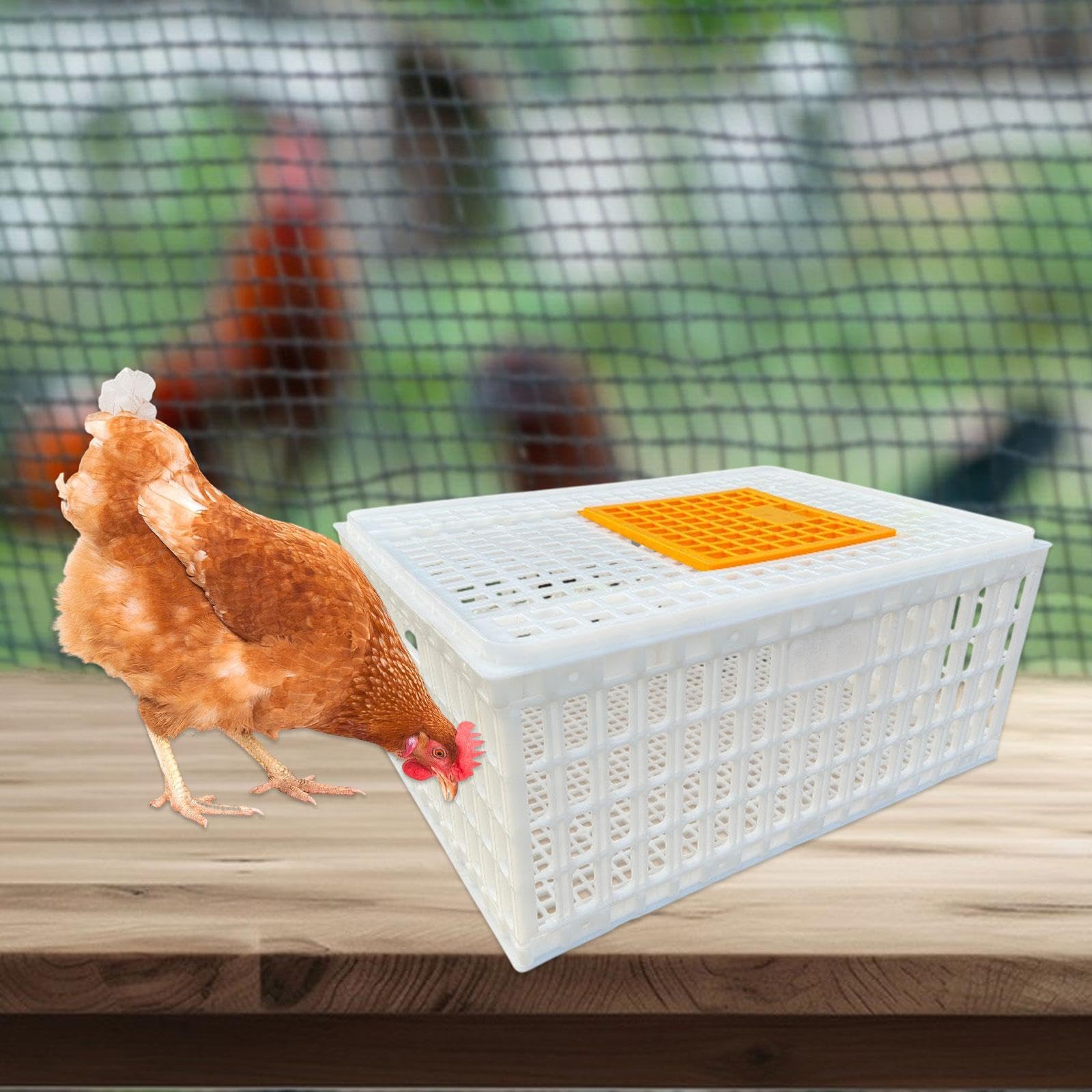 Jaula Transportadora de Aves de Corral, Blanco Altura 33cm