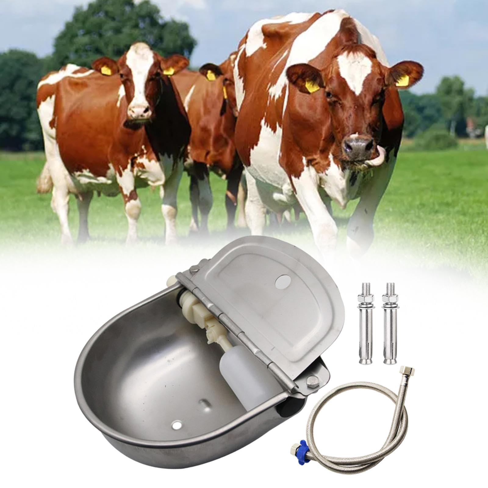 Automático Animal Comedero y Abrevadero de Acero Inoxidable Grueso Dispensador Funcional con Válvula Flotante Segura para Ovejas Caballos, con Orificio y Tubería