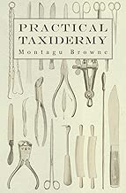 Practical Taxidermy: A Manual of Instruction to the Amateur in Collecting, Preserving, and Setting up Natural History Specimens of All Kinds. To Which ... Upon the Pictorial Arrangement of Museums