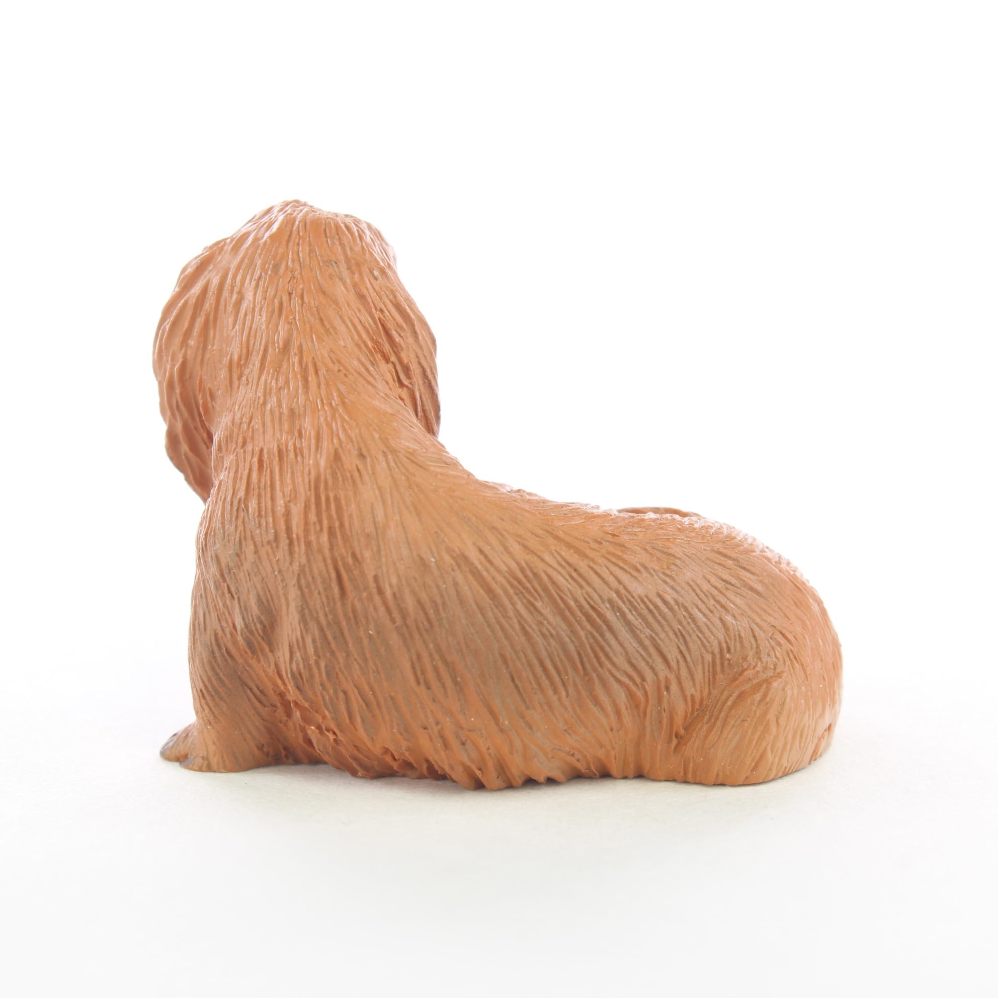 Amazon.com: Conversation Concepts Dachshund Miniature Dog