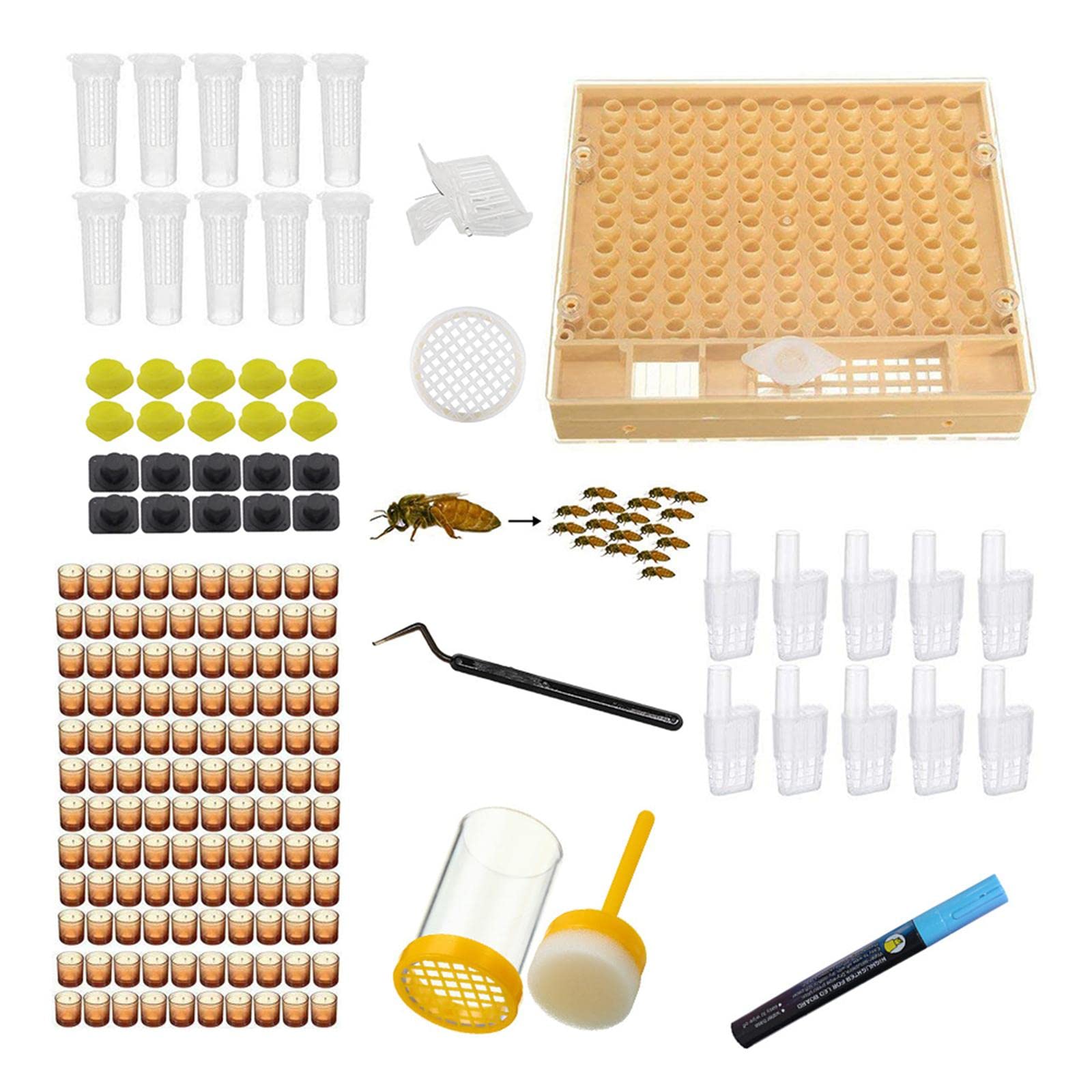 KESOTO Coffret D'élevage de Cages à Reines Contenant des Cellules Productives pour D'œufs et L'élevage de Reines