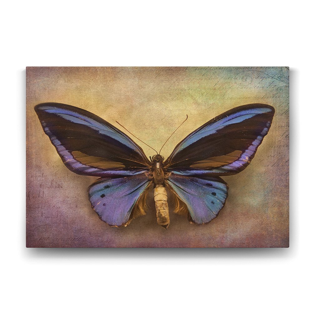 tabloshop Modern Kelebek Tablo - 100x70cm